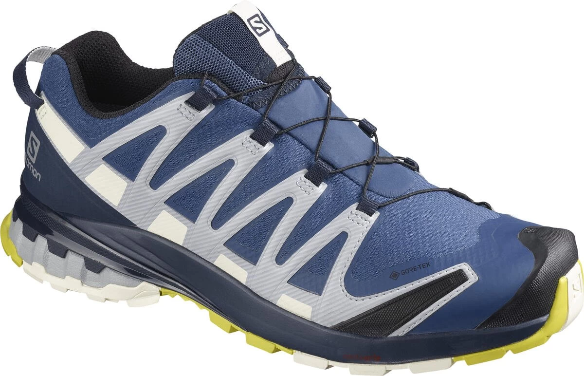 Salomon XA PRO 3D GTX - Unisex Wanderschuh